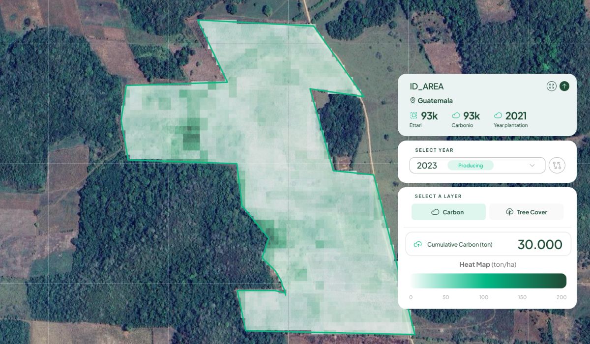 AI and forestry in the field